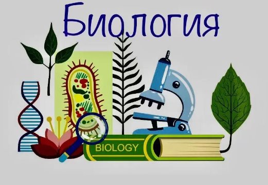 Биология пәні мұғалімдеріне арналған облыстық олимпиаданың қалалық (іріктеу) кезеңі өткізілді.