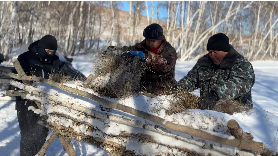 На территории Улытауского ГНПП проведены биотехнические мероприятия