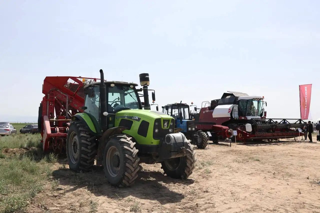 Жамбыл облысында егіс алқабы 623,3 мың гектарды құрайды: су арналары жөнделіп, жүгері мен қант қызылшасына басымдық берілуде