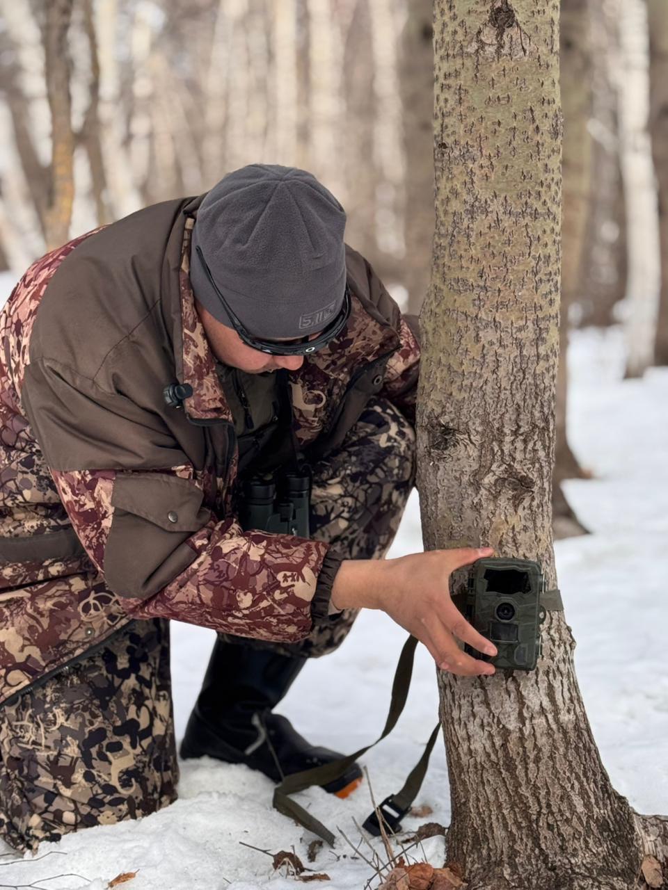 Работы по изучению дикой природы проводятся на системной основе