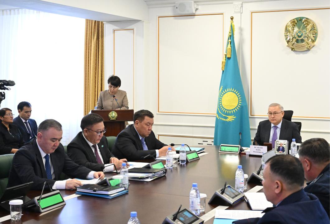 Жетісу облысының активі жаңа Конституция жобасын қолдады