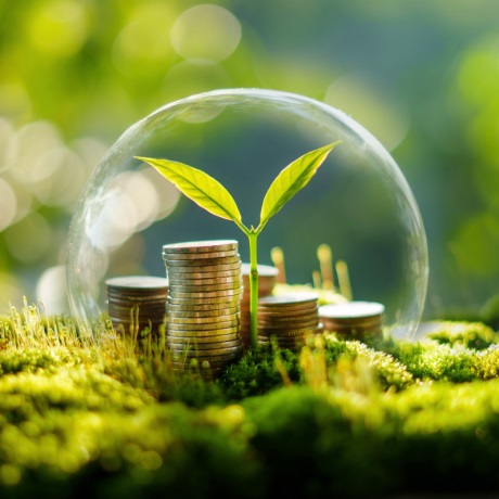 Қоршаған ортаға теріс әсер еткені үшін төлемнің бюджеттік сынаптама коды