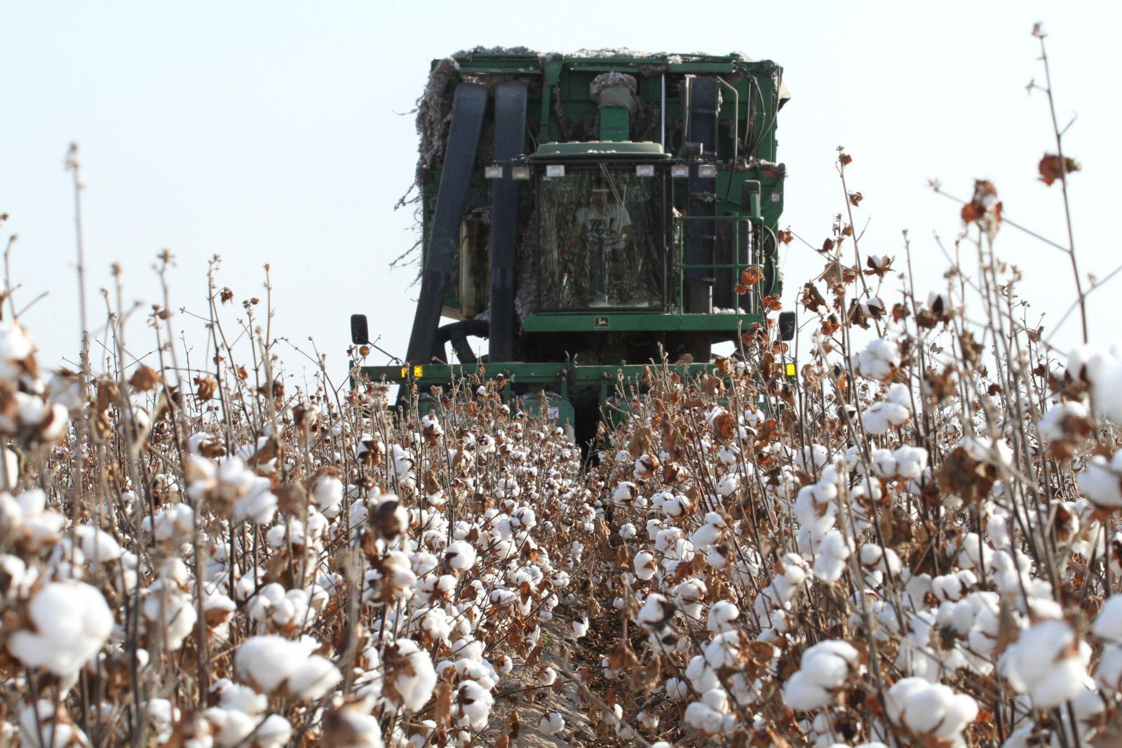 ТҮРКІСТАН: МАҚТААРАЛДА ӨТКЕН ЖЫЛЫ АУЫЛ ШАРУАШЫЛЫҒЫ САЛАСЫНДА 85,7 МЛРД ТЕҢГЕНІҢ ӨНІМІ ӨНДІРІЛДІ