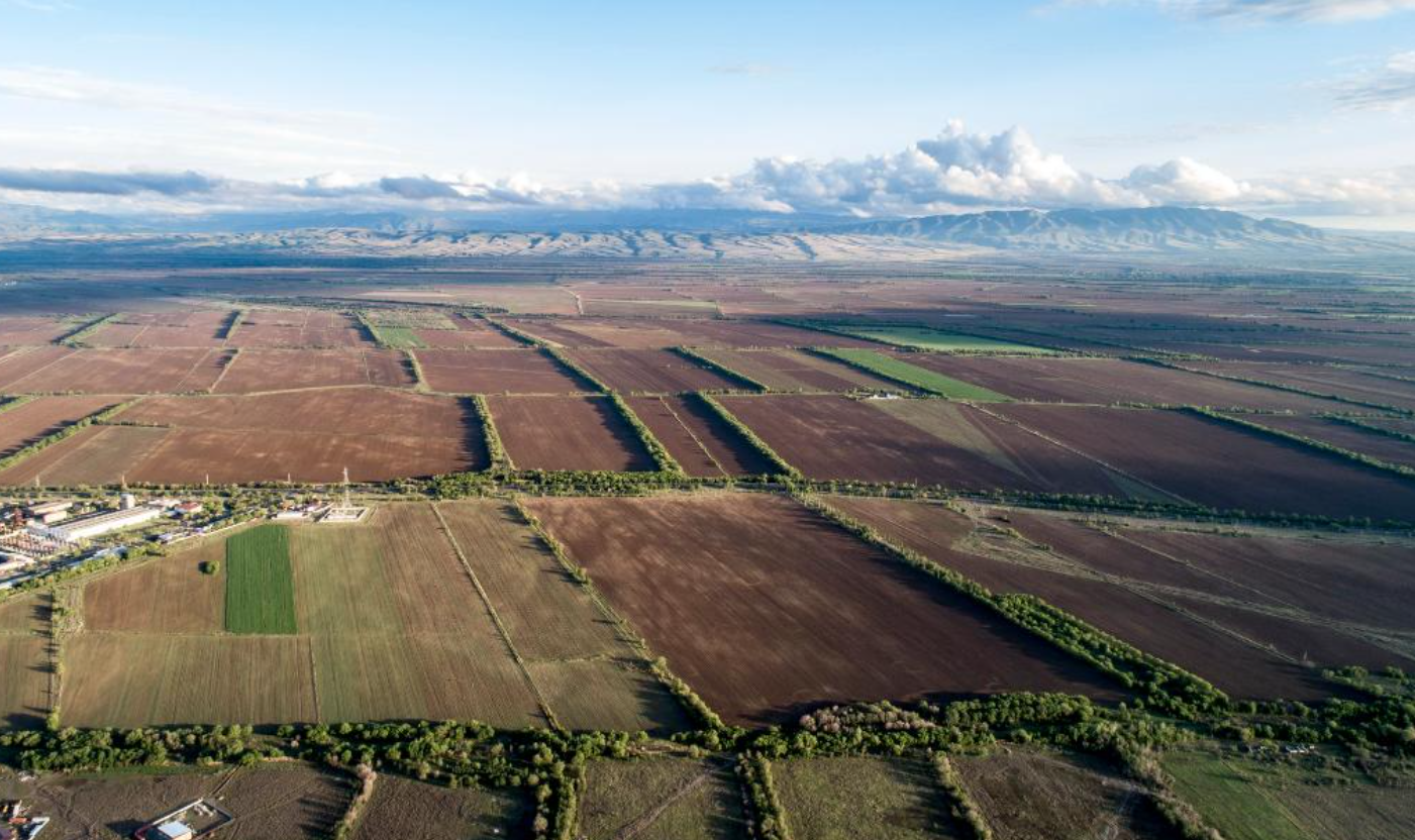 Биыл Жетісу облысында егіс алқабы шамамен 512 мың га құрайтын болады