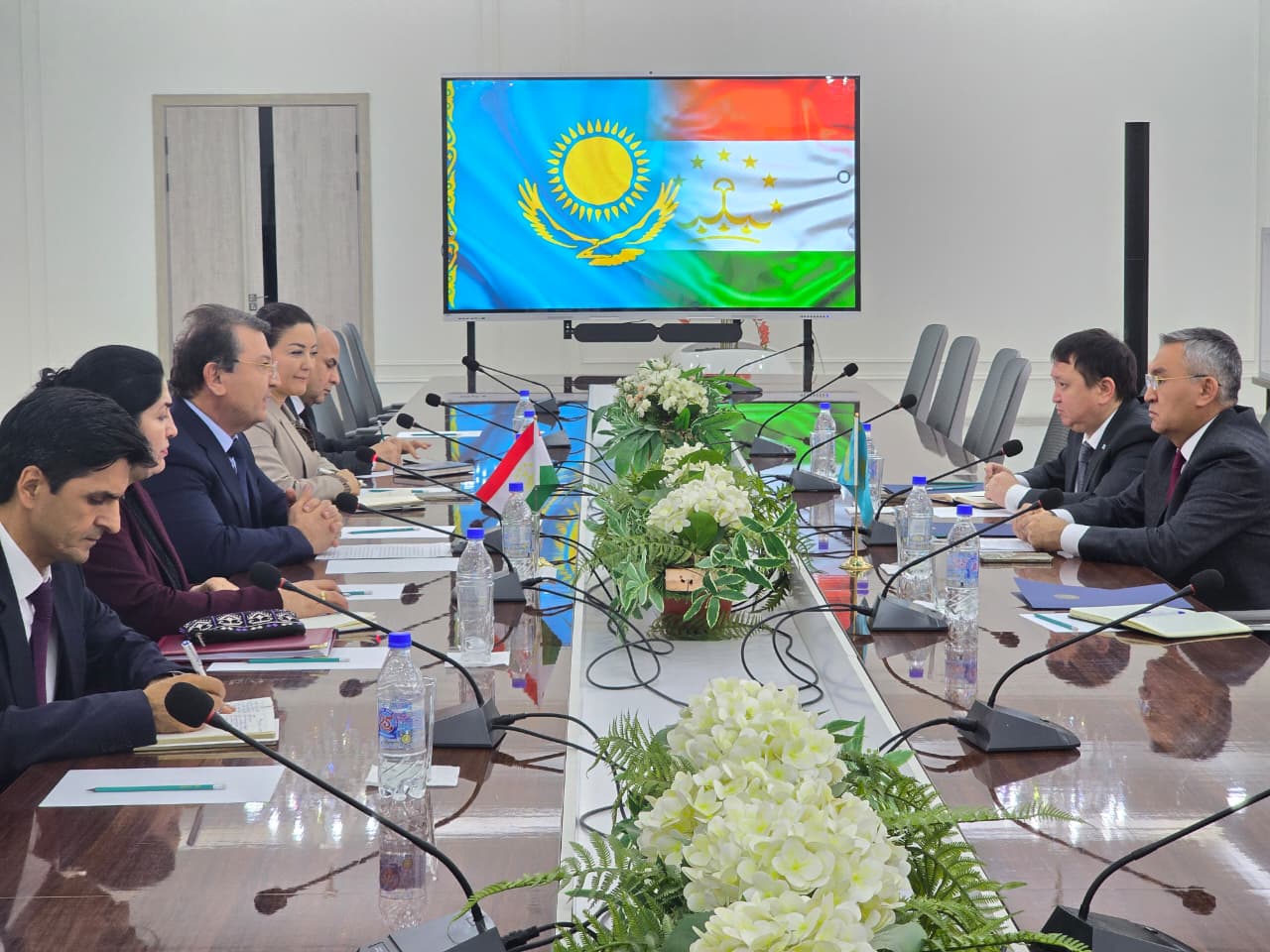 Қазақстан мен Тәжікстан денсаулық сақтау саласындағы ынтымақтастықты нығайтуда