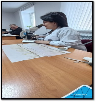 Тұқымның фитоанализі-сау егіннің КЕПІЛІ