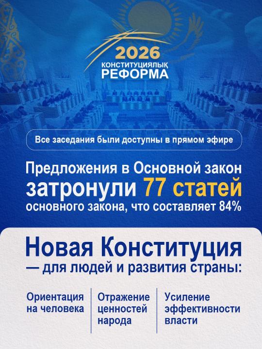 Новая конституция