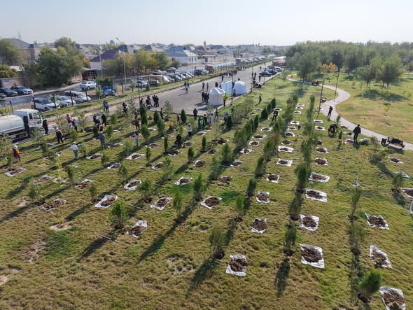 «ТАЗА КАЗАХСТАН»: В ПРОШЛОМ ГОДУ В ТУРКЕСТАНСКОЙ ОБЛАСТИ ВЫСАЖЕНО БОЛЕЕ 1 МЛН САЖЕНЦЕВ