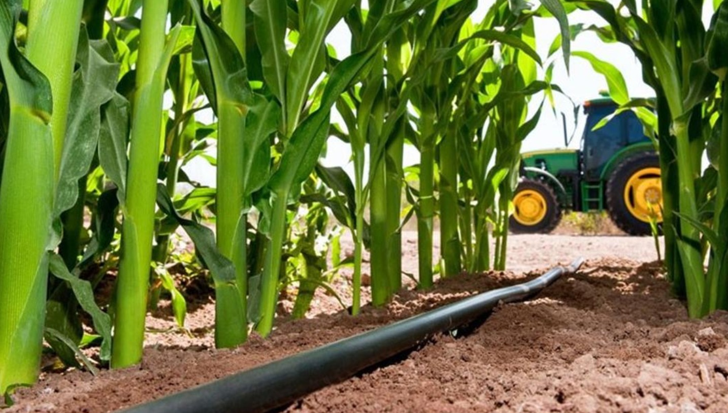 Жетісу облысындағы су шаруашылығы: жаңа инфрақұрылымдық жобалар мен заманауи технологиялар