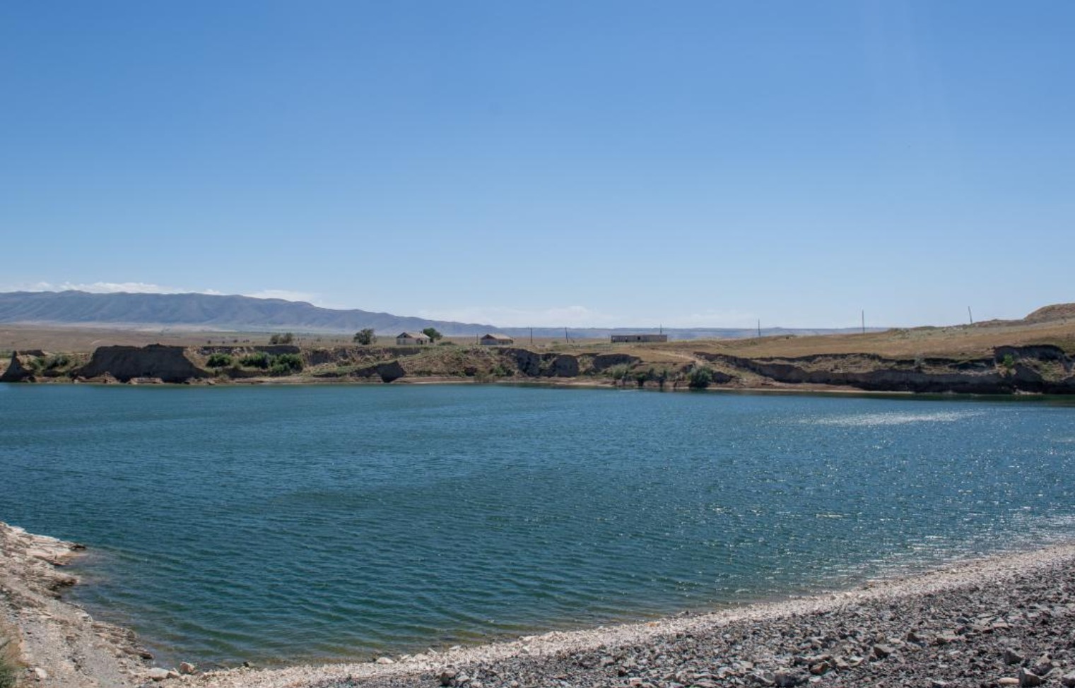 Биыл Жетісу облысында егіс алқабы шамамен 512 мың га құрайтын болады