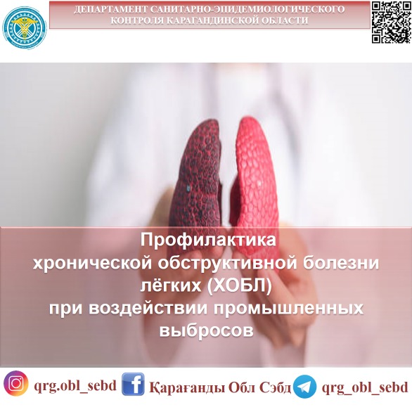 Профилактика хронической обструктивной болезни лёгких (ХОБЛ) при воздействии промышленных выбросов