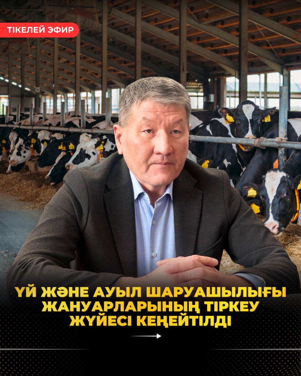 АУДАН АУМАҒЫНДА ҮЙ ЖӘНЕ АУЫЛ ШАРУАШЫЛЫҒЫ ЖАНУАРЛАРЫНЫҢ ТІРКЕУ ЖҮЙЕСІ КЕҢЕЙТІЛДІ