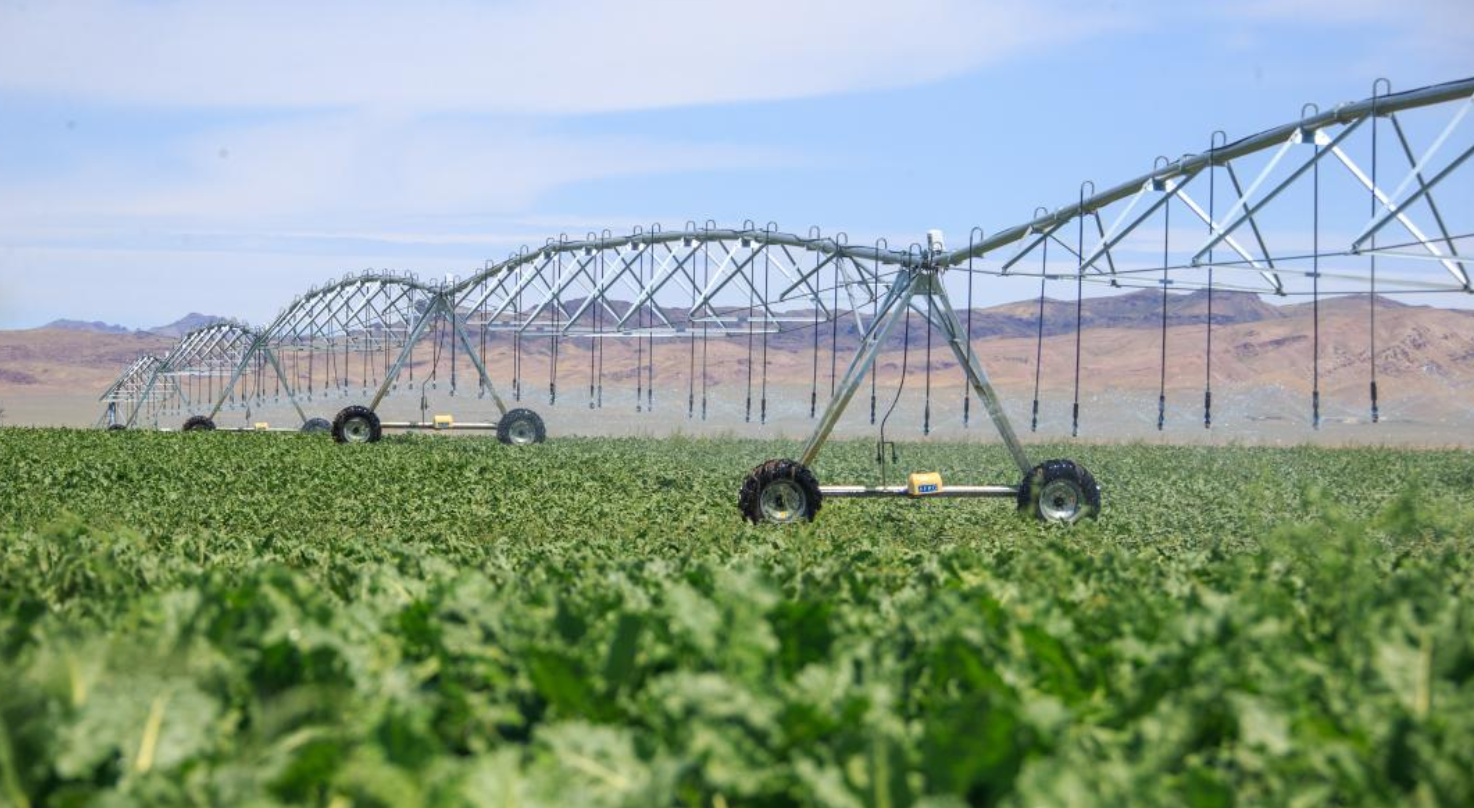 Жетісу облысындағы су шаруашылығы: жаңа инфрақұрылымдық жобалар мен заманауи технологиялар