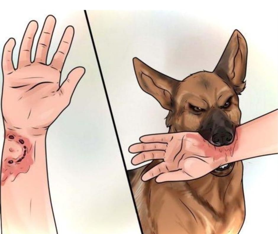 Құтырудың алдын алу!