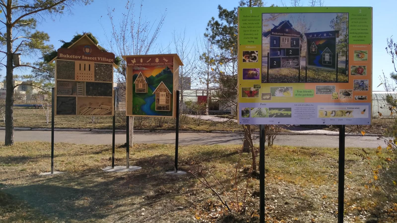 Экопроект: в Карагандинском университете имени Е. А. Букетова открыли «гостиницу» для полезных насекомых