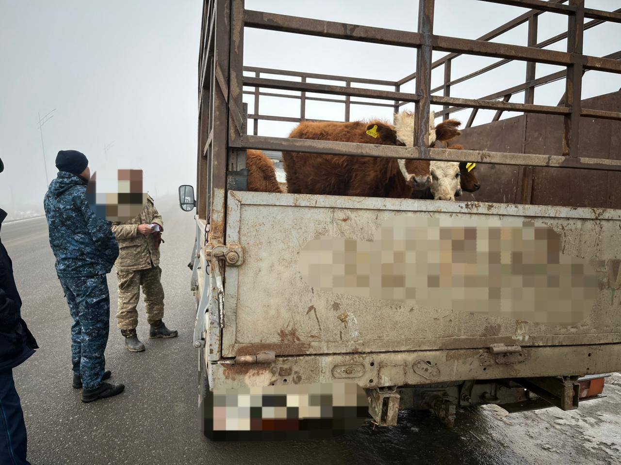 Мал ұрлығының алдын алу бағытында жұмыстар жүргізілуде