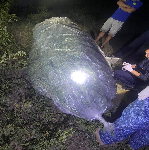 Көлік полицейлері 95 келіден астам марихуанамен ер адамды ұстады