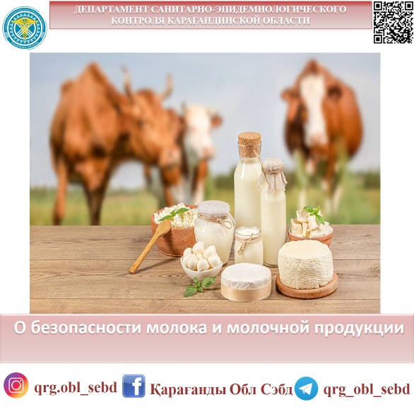 О безопасности молока и молочной продукции