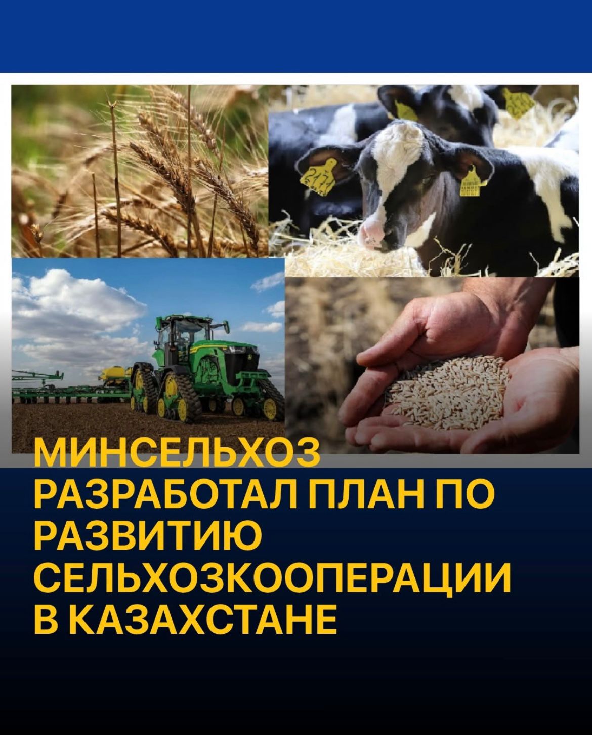 План мероприятий по развитию сельскохозяйственной кооперации до 2029 года