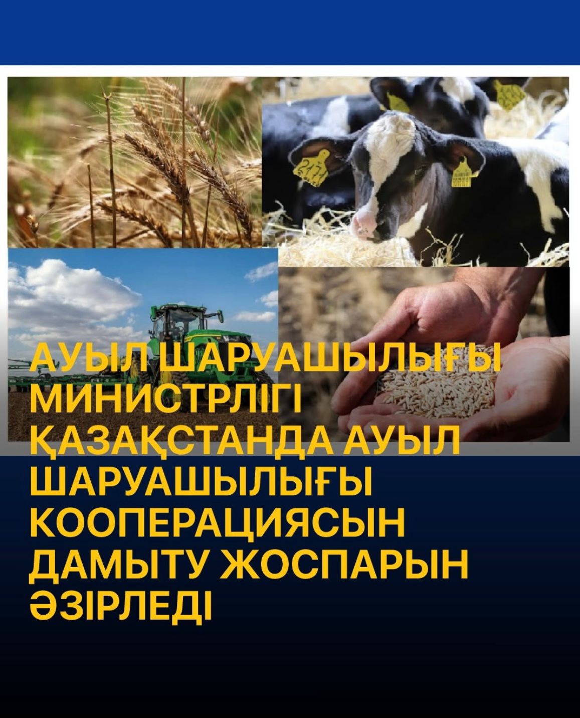 Ауыл шаруашылығы кооперациясын дамытудың 2029 жылға дейінгі шаралар жоспары бекітілді