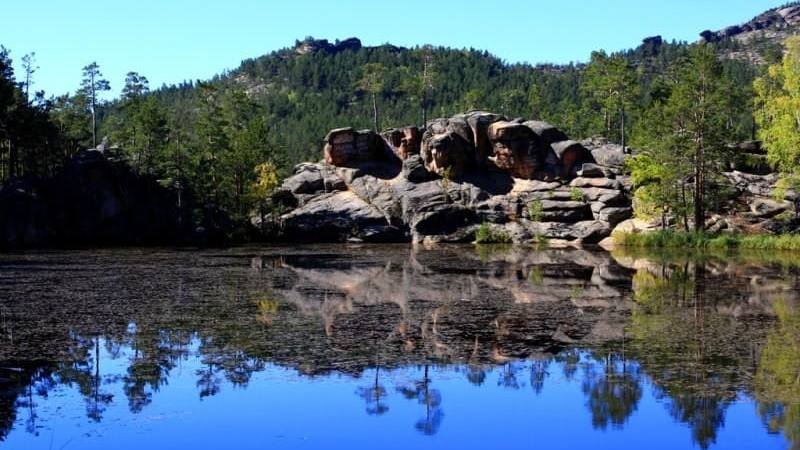 Экоотели и визит-центр: Каркаралинский нацпарк представил новые проекты для инвесторов  &nbsp;