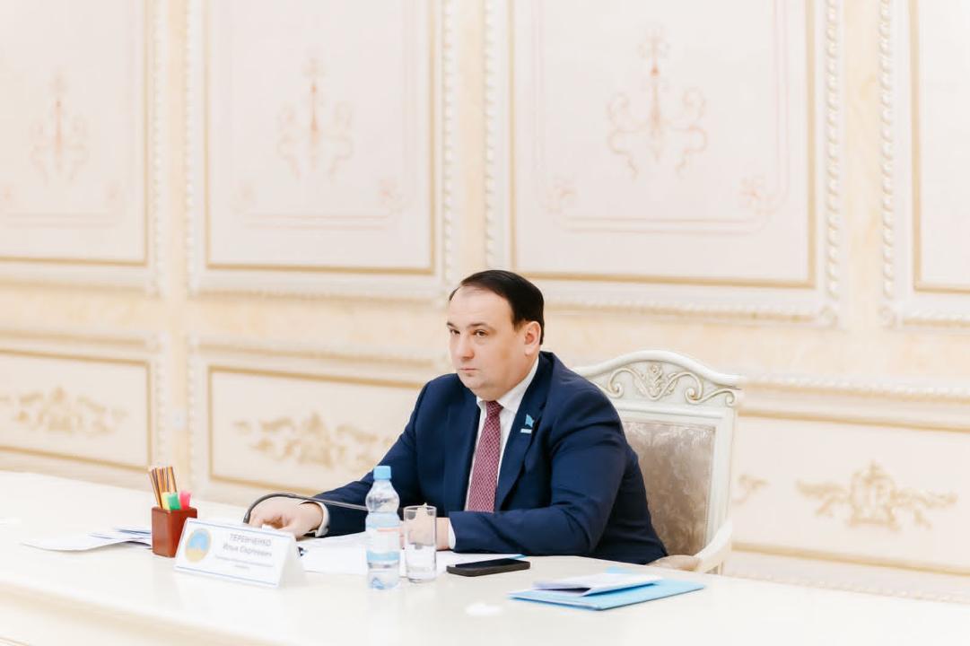 Конституциялық реформа мәселелері бойынша кездесу өтті