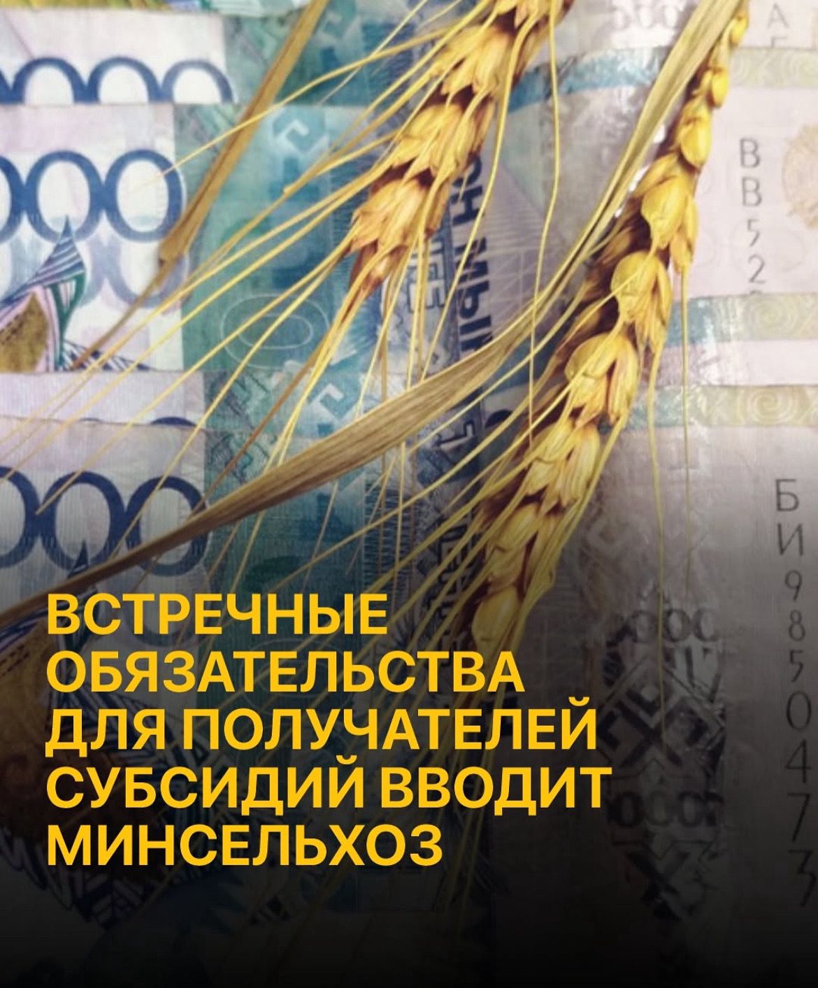 Определены критерии выполнения встречных обязательств для получателей государственной поддержки