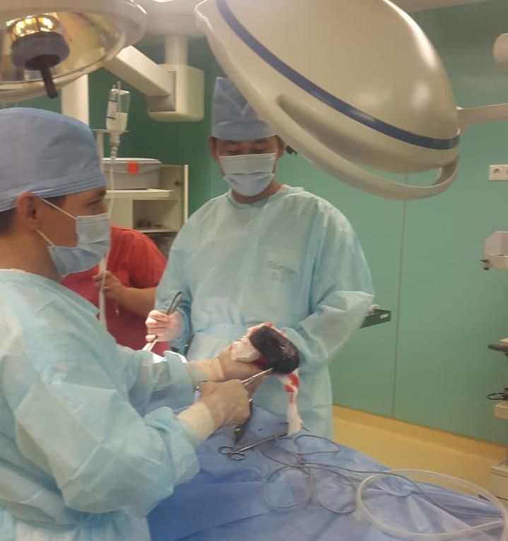 В желудке пациентки несколько лет находился волосяной ком – в ГКБ №4 провели сложную операцию