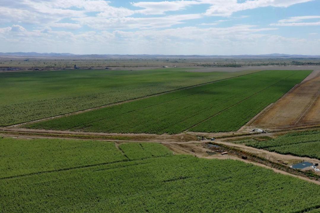 Облыстағы агроөнеркәсіп кешенін қолдау және әлеуметтік маңызы бар азық-түлік тауарларының бағасын тұрақтандыру мәселесі талқыланды