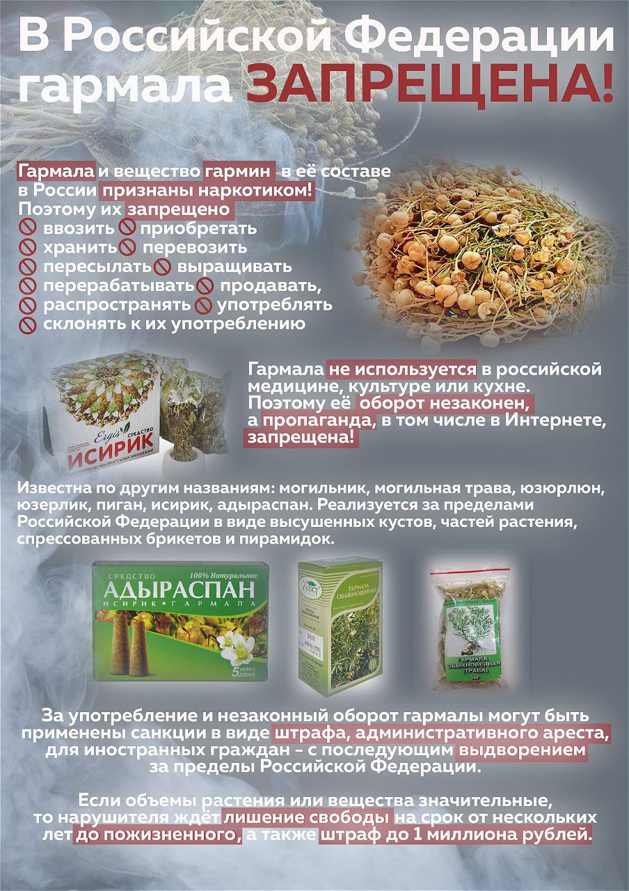 Ресей Федерациясына кіретін Қазақстан Республикасының азаматтарының назарына!