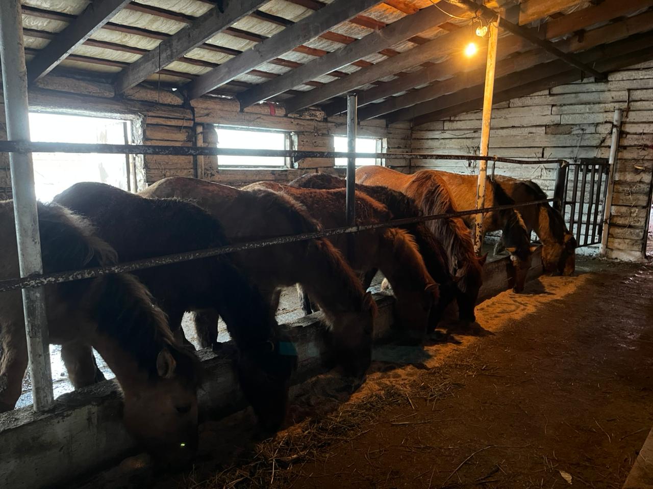 «Ауыл аманаты» – ауыл берекесінің бастауы