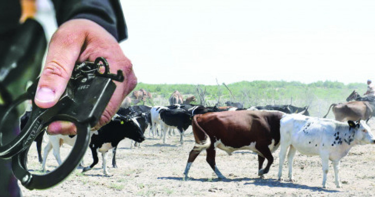 Департамент полиции области Абай призывает владельцев скота усилить меры предосторожности