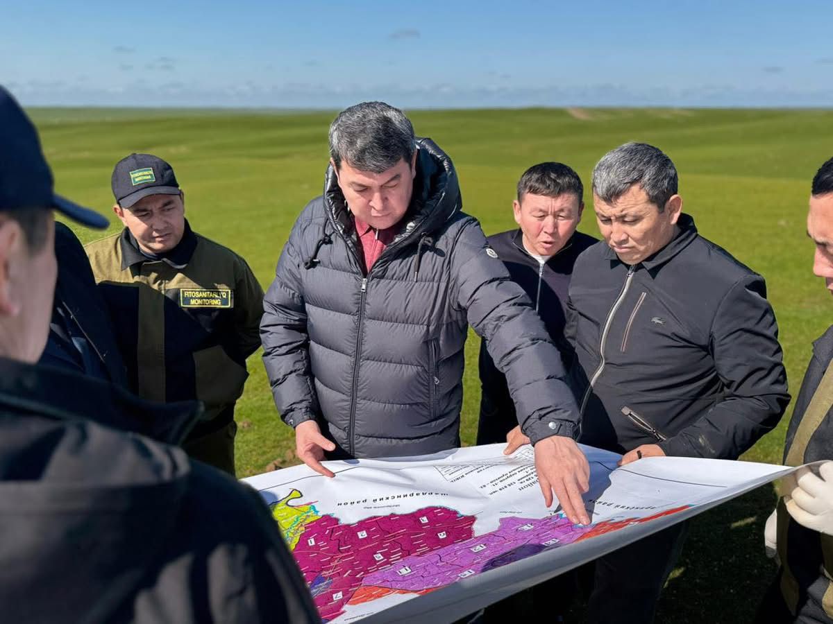 ТҮРКІСТАН ОБЛЫСЫНДА ШЕГІРТКЕГЕ ҚАРСЫ КҮРЕС БАСТАЛДЫ