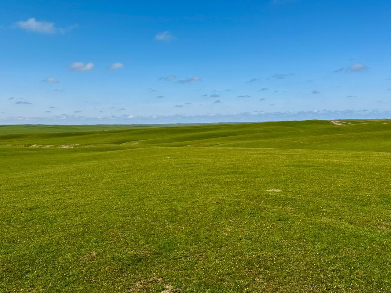 ТҮРКІСТАН ОБЛЫСЫНДА ШЕГІРТКЕГЕ ҚАРСЫ КҮРЕС БАСТАЛДЫ