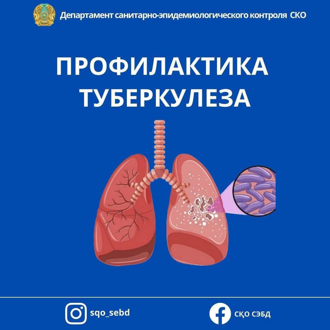 📌 Профилактика туберкулеза