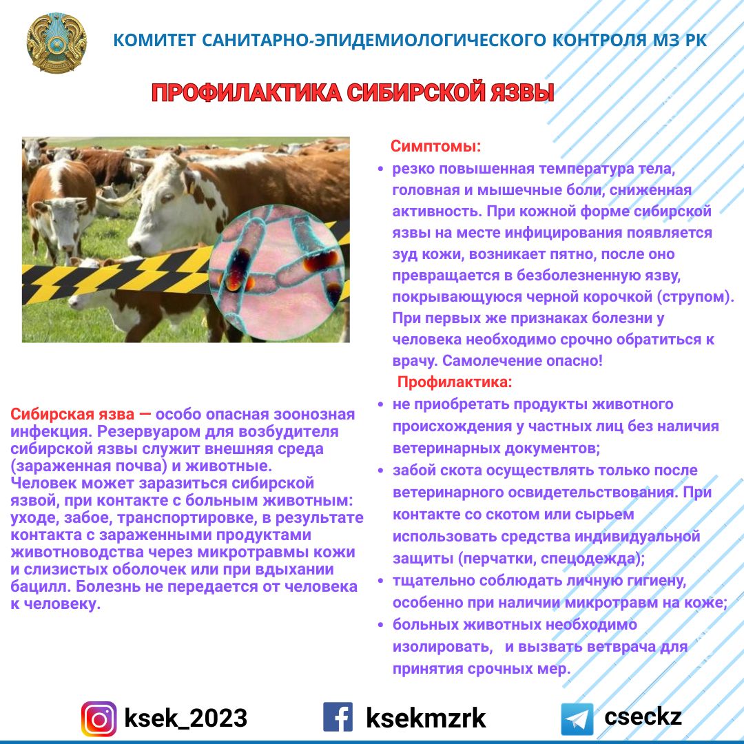 Профилактика сибирской язвы