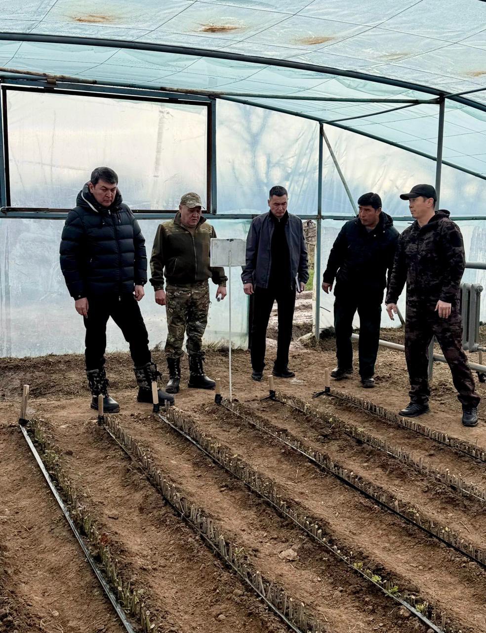 ТҮРКІСТАН ОБЛЫСЫ КӨШЕТ ӨНДІРУ МЕН АҒАШ ОТЫРҒЫЗУДА РЕСПУБЛИКАДА КӨШ БАСТАП ТҰР