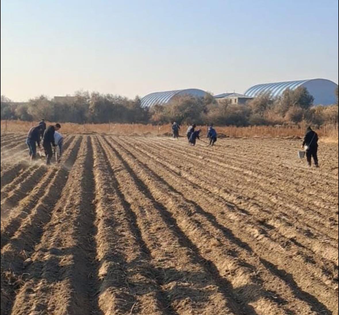 В РАЙОНЕ РАСШИРЯЕТСЯ ЗЕЛЁНЫЙ ФОНД