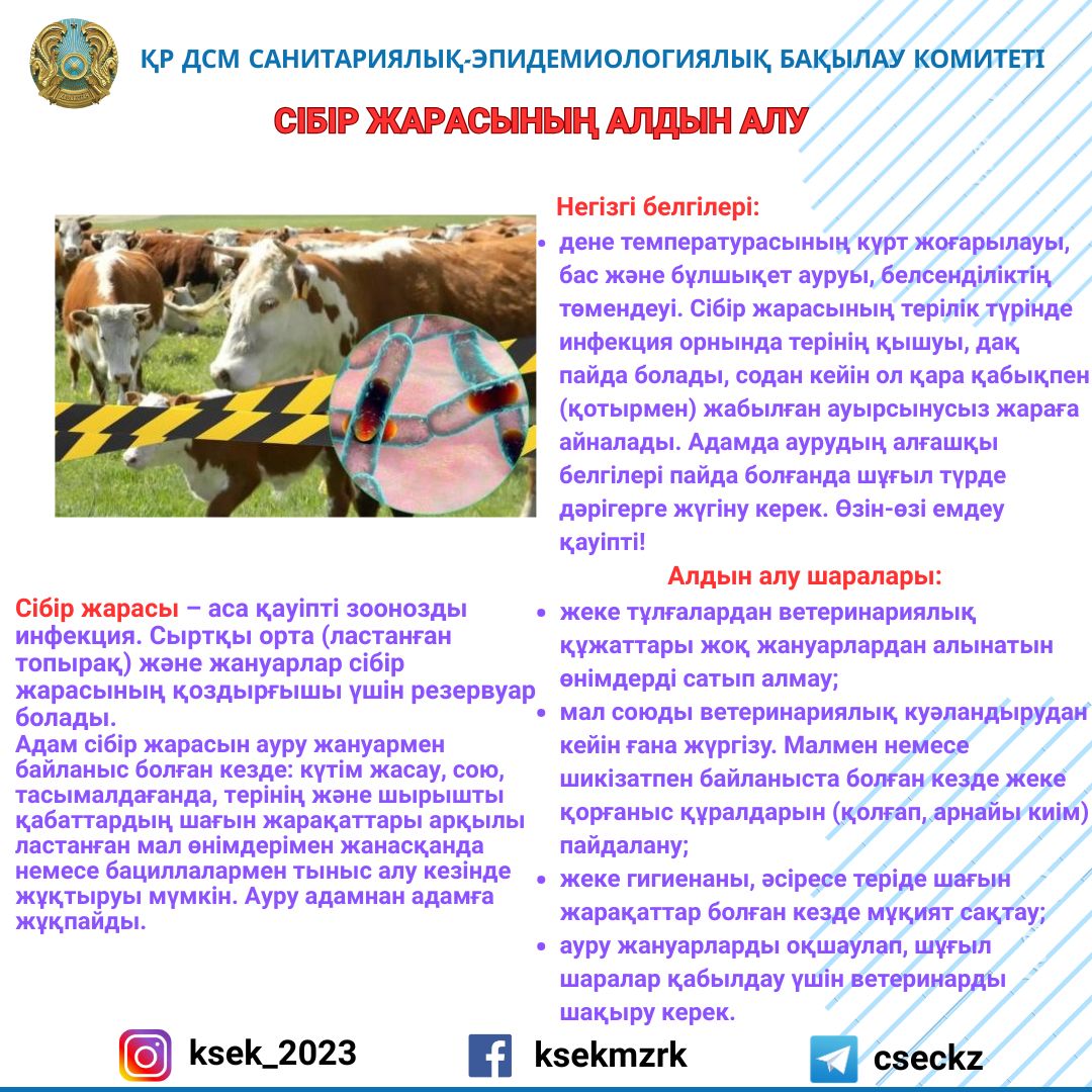 Сібір жарасының алдын алу