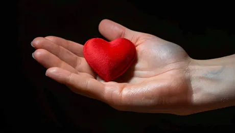 «Қайырымдылық күні»