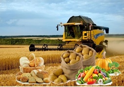 Ауыл шаруашылығы өнімдерінің төмендетілген жәрмеңкесі