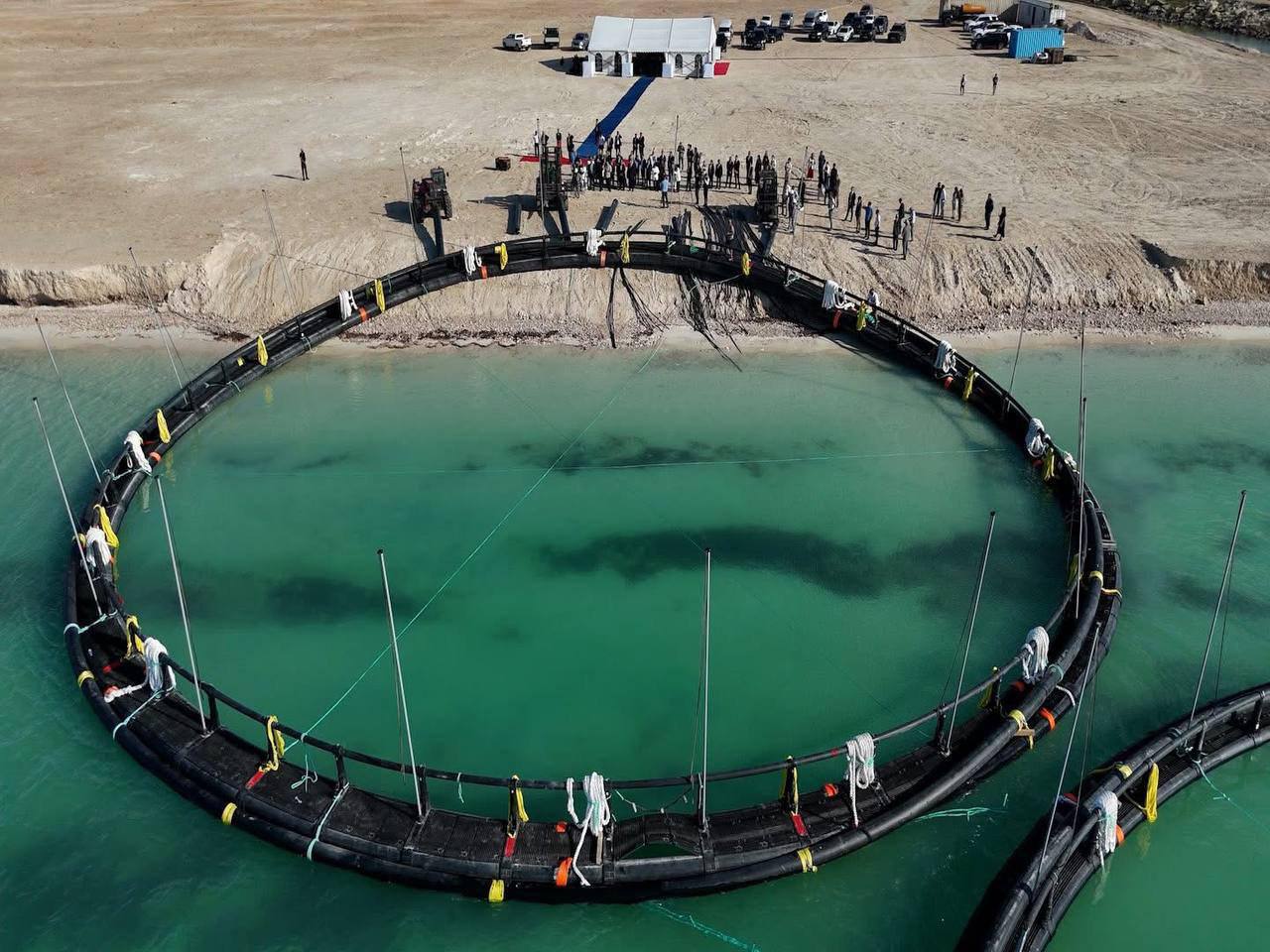 40 проектов в сфере аквакультуры реализуется в Казахстане