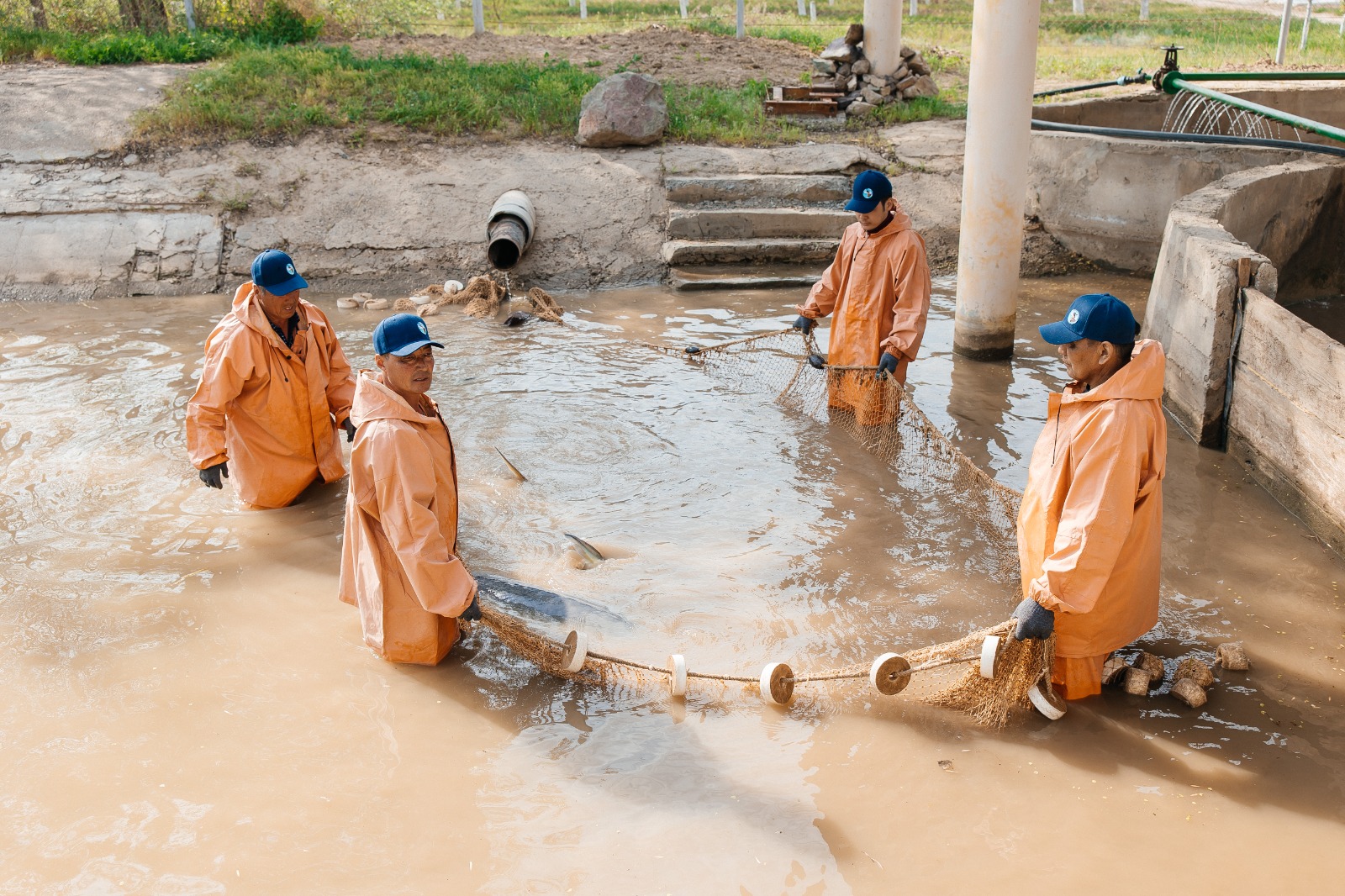 Махамбет ауданында жылдық қуаттылығы 130 тонна балық өсіру зауыты іске қосылады