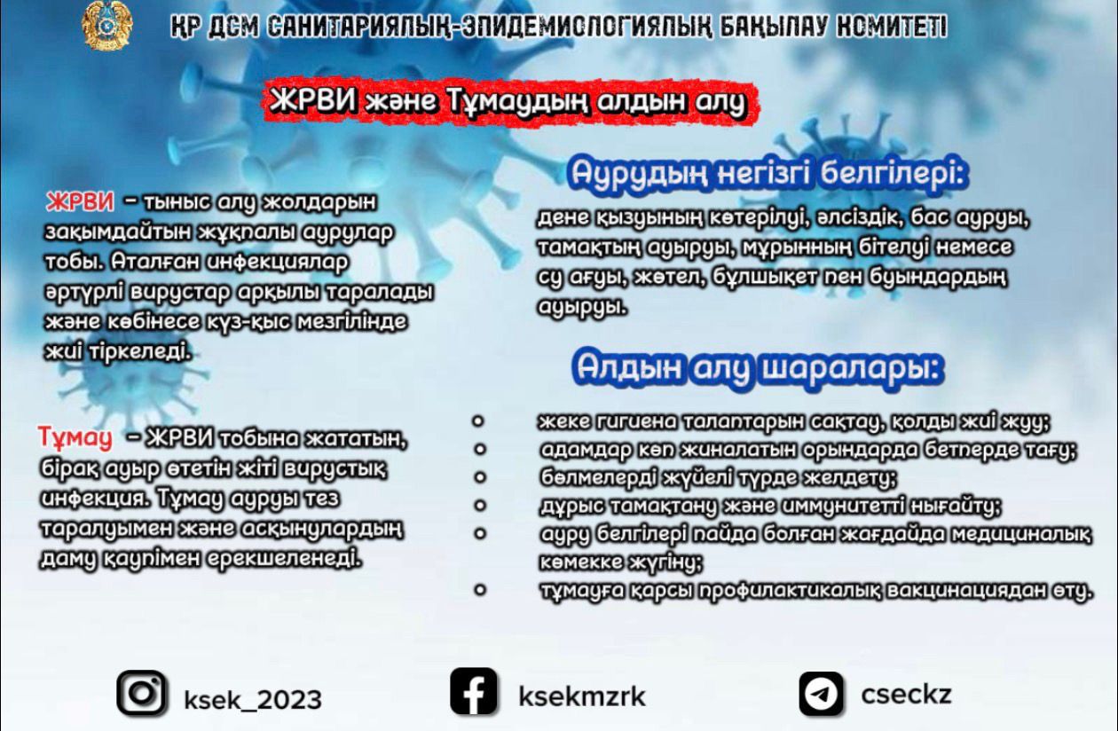 ЖРВИ және тұмаудың алдын алу
