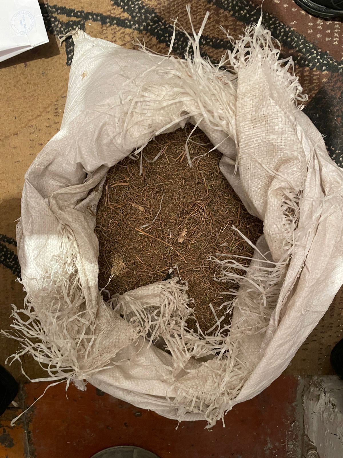 ШҚО-да 6 келіден астам марихуана мен гашиш тәркіленді