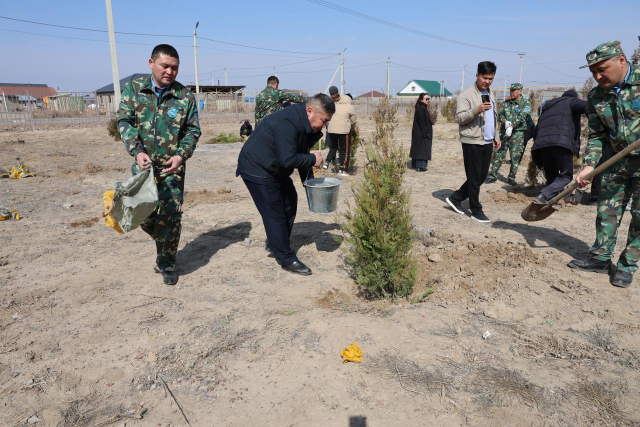 Проголосуй и посади свое дерево