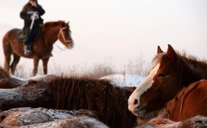 Ұры айтып келмейді.