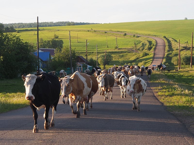 «Қоңыр ауылдық округі әкімінің аппараты» ММ ЕСКЕРТЕДІ: