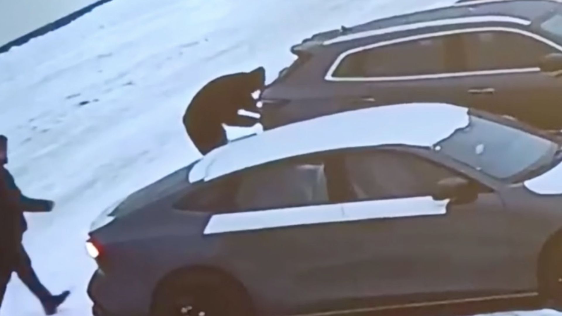 ТАЛҒАР АУДАНЫНДА АВТОКӨЛІК ҰРЛАҒАН ҚЫЛМЫСТЫҚ ТОП ҰСТАЛДЫ