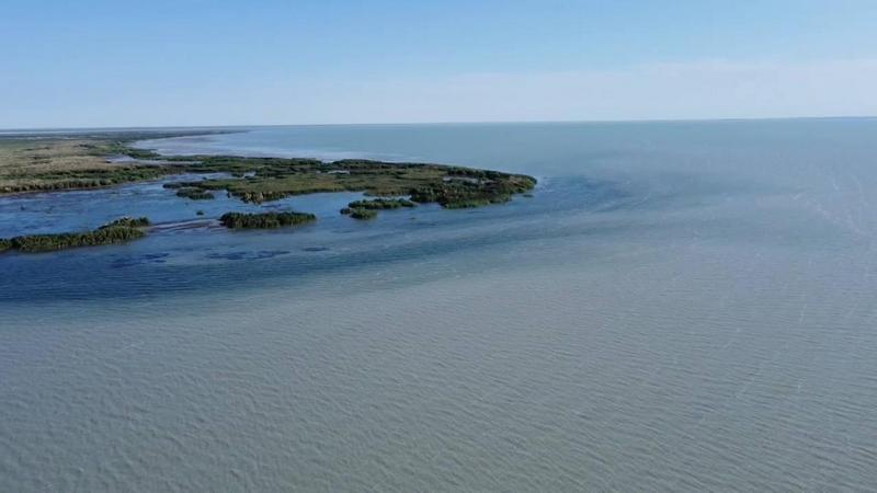 Балқаш көлінде балық қорының жай-күйі зерттелуде